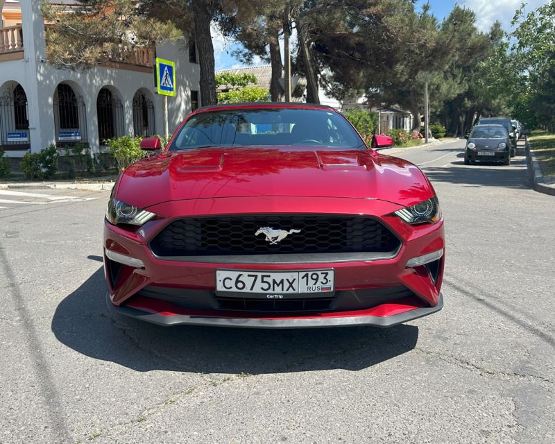 Ford Mustang Спорт купе / Кабриолет